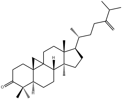 24-メチレン-9β,19-シクロラノスタン-3-オン 化学構造式