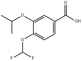 Benzoic acid, 4-(difluoromethoxy)-3-(1-methylethoxy)-|4-(二氟甲氧基)-3-异丙氧基苯甲酸