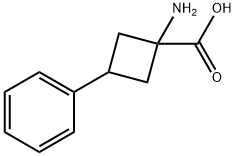 1-amino-3-phenylcyclobutane-1-carboxylic Acid|1-氨基-3-苯基环丁烷-1-羧酸