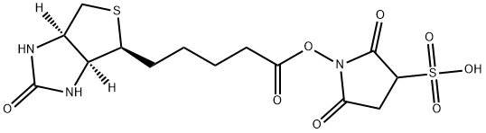 1H-Thieno[3,4-d]imidazole-4-pentanoic acid, hexahydro-2-oxo-, 2,5-dioxo-3-sulfo-1-pyrrolidinyl ester, (3aS,4S,6aR)-|2,5-二氧代-1-((5-((3AS,4S,6AR)-2-氧代六氢-1H-噻吩并[3,4-D]咪唑-4-基)戊酰基)氧基)吡咯烷-3-磺酸