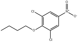 Benzene, 2-butoxy-1,3-dichloro-5-nitro- Structure