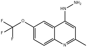 (2-Methyl-6-trifluoromethoxyquinolin-4-yl)hydrazine Struktur