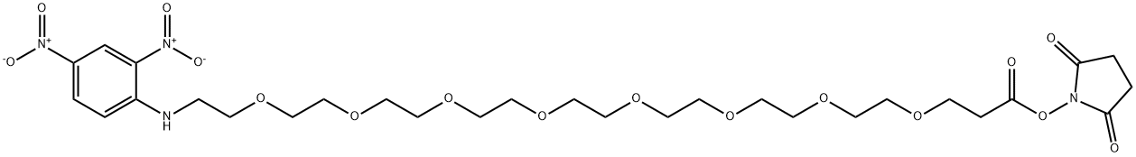 DNP-PEG8-NHS ester Structure
