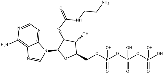 EDA-ATP Structure