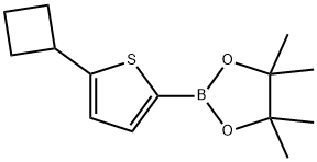 2-(5-Cyclobutyl-2-thienyl)-4,4,5,5-tetramethyl-1,3,2-dioxaborolane Struktur