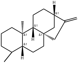 (-)-扁枝烯, 20070-61-5, 结构式
