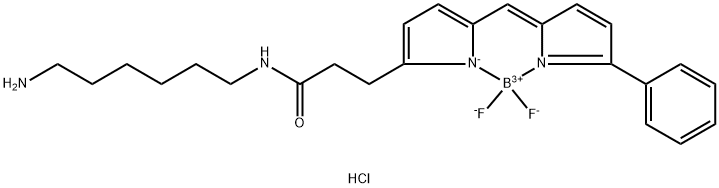 BDP R6G amine Structure