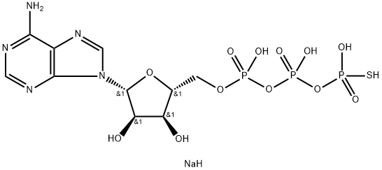 Adenosine 5'-(trihydrogen diphosphate), monoanhydride with phosphorothioic acid, tetrasodium salt (9CI)|ATPΓS|||ADENOSINE 5'-(Γ-THIO)-TRIPHOSPHATE