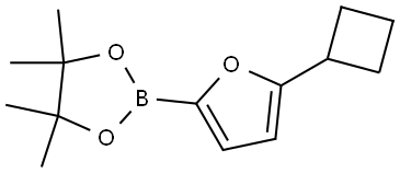 5-(Cyclobutyl)furan-2-boronic acid pinacol ester Struktur