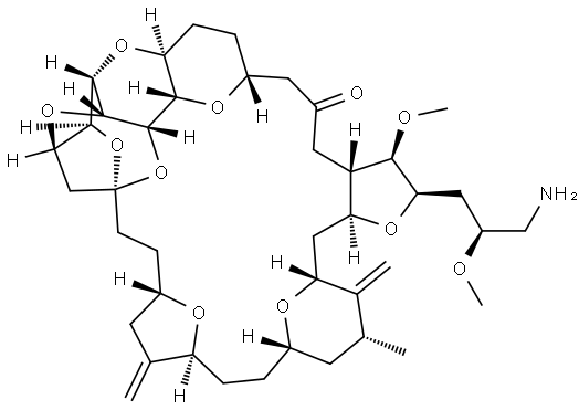 2676196-81-7 结构式