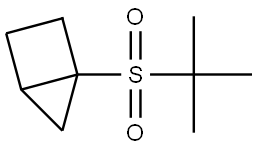 1-[(1,1-Dimethylethyl)sulfonyl]bicyclo[2.1.0]pentane Structure