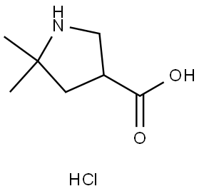 5,5-二甲基吡咯烷-3-羧酸盐酸盐, 2411299-56-2, 结构式