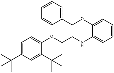 2-(Benzyloxy)-N-{2-[2,4-di(tert-butyl)phenoxy]-ethyl}aniline Structure