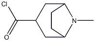8-Azabicyclo[3.2.1]octane-3-carbonyl chloride, 8-methyl-, exo- (9CI) Struktur
