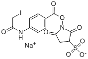 SULFO-N-SUCCINIMIDYL (N-IODOACETYL)AMINOBENZOATE|磺基-N-琥珀酰亚胺基(N-碘乙酰基)氨基苯甲酸酯