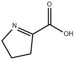 化合物 Pyrroline-5-carboxylate 结构式