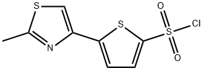 5-(2-METHYL-1,3-THIAZOL-4-YL)THIOPHENE-2-SULFONYL CHLORIDE|5-(2-甲基-1,3-噻唑-4-基)噻酚-2-磺酰氯