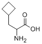 DL-Cyclobutylalanine|环丁基丙氨酸
