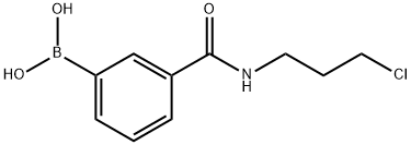 3-(3-CHLOROPROPYLCARBAMOYL)BENZENEBORONIC ACID|N-(3-氯丙基)-3-硼苯甲酰胺