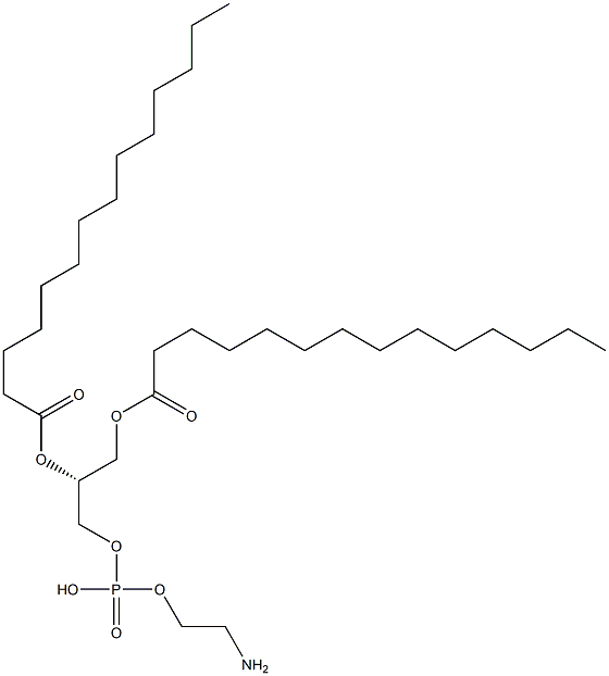 998-07-2 结构式