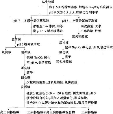 三尖杉酯碱与高三尖杉酯碱的分离