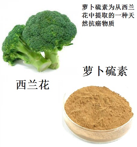从西兰花中提取的淡黄色萝卜硫素粉末