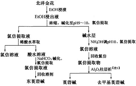 北洋金花中去甲基莨菪碱等成分的提取分离