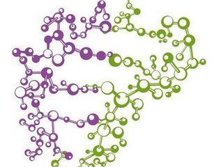 腺苷脱氨酶 腺苷脱氨酶