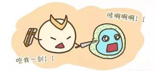 AllImg_5.jpg AllImg_5.jpg