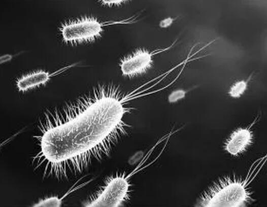 多粘菌素的临床应用