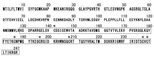 structure of BDNF structure of BDNF