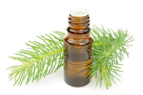 Pine needle oil.jpg Pine needle oil.jpg