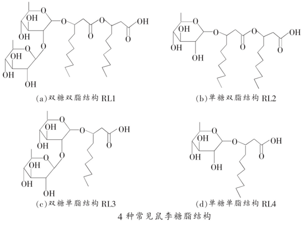 4种鼠李糖脂结构