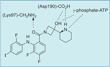 Figure 3. Summary of cobimetinib and AMP–PCP with MEK1 interactions based on an X-ray co-crystal structure. Figure 3. Summary of cobimetinib and AMP–PCP with MEK1 interactions based on an X-ray co-crystal structure.