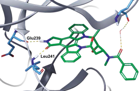Figure 1. Co-crystal structure of midostaurin in  complex with human DYRK1A (PDB ID: 4NCT). Figure 1. Co-crystal structure of midostaurin in  complex with human DYRK1A (PDB ID: 4NCT).
