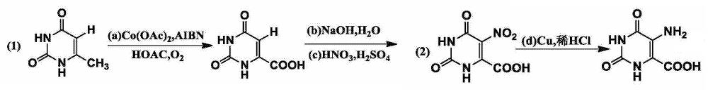 5-氨基乳清酸的合成路线 5-氨基乳清酸的合成路线