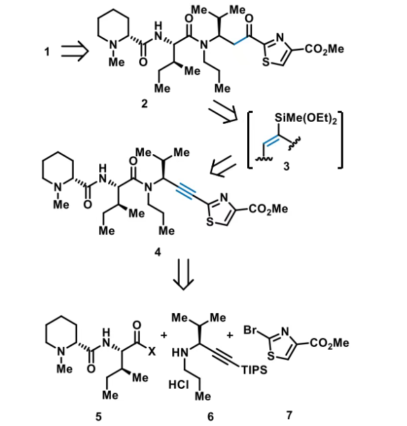 三肽1的逆合成分析 三肽1的逆合成分析