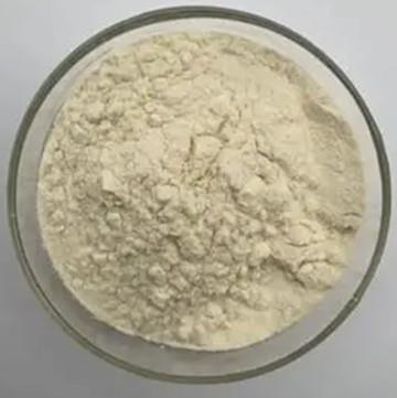 1-苯基-1,2,3,4-四氢异喹啉的合成方法