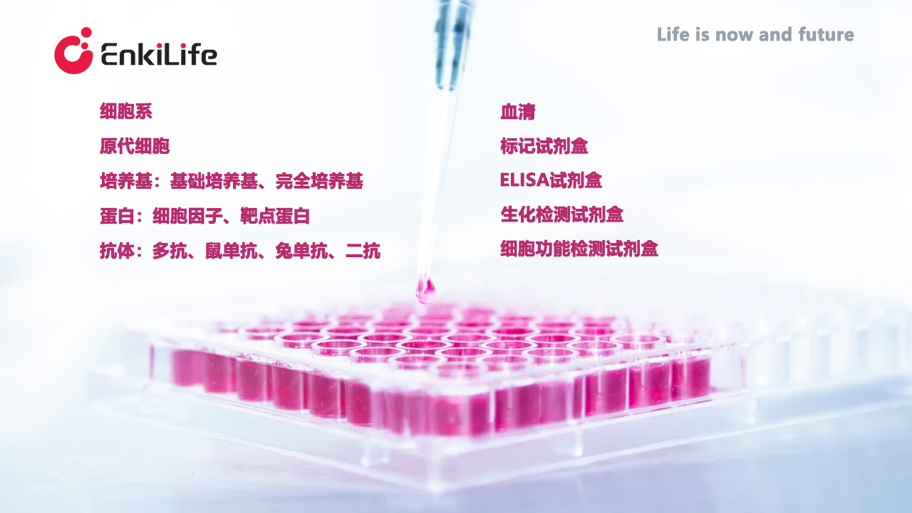 放综述最后的照片.jpg
