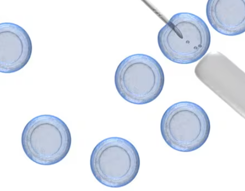 B-27添加剂 B-27添加剂