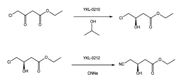 改进固定化双酶法制备R(-)-4-氰基-3-羟基丁酸乙酯 改进固定化双酶法制备R(-)-4-氰基-3-羟基丁酸乙酯