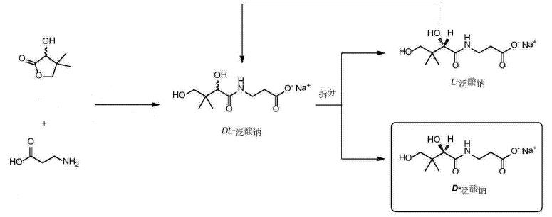 D-泛酸钠的合成与拆分 D-泛酸钠的合成与拆分