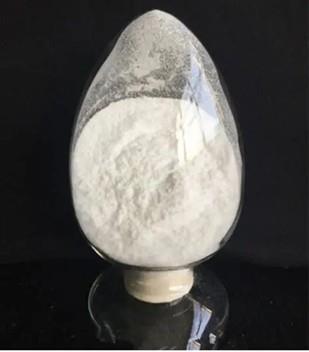 2,4-二羟基喹啉的制备与化学应用