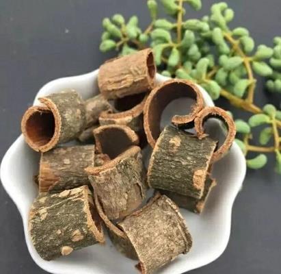 厚朴图片.jpg 厚朴图片.jpg