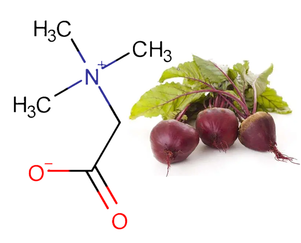 甜菜碱 甜菜碱