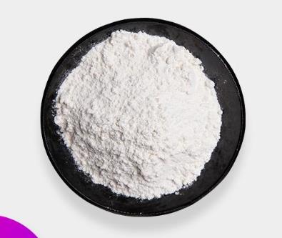 4-碘-L-苯丙氨酸的生物分布研究及其应用