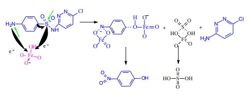 高铁酸根与磺胺氯哒嗪的初步反应图