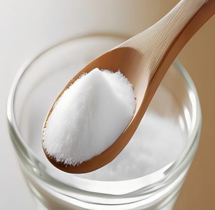 花生酸甲酯的合成方法