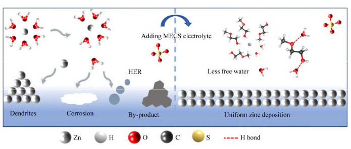 Zn2+在 MECS/ZSO 电解液中的 MD 模拟以及示意图