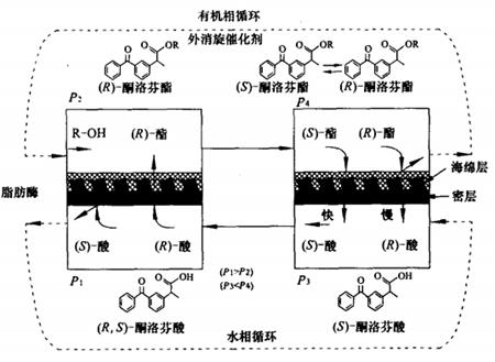 图2 右旋酮洛芬的生产工艺示意图.png 图2 右旋酮洛芬的生产工艺示意图.png